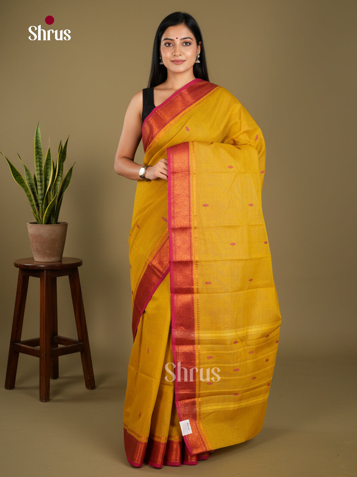 Chettinad Cotton Saree - EBS21158 - Shop on Shrus.com