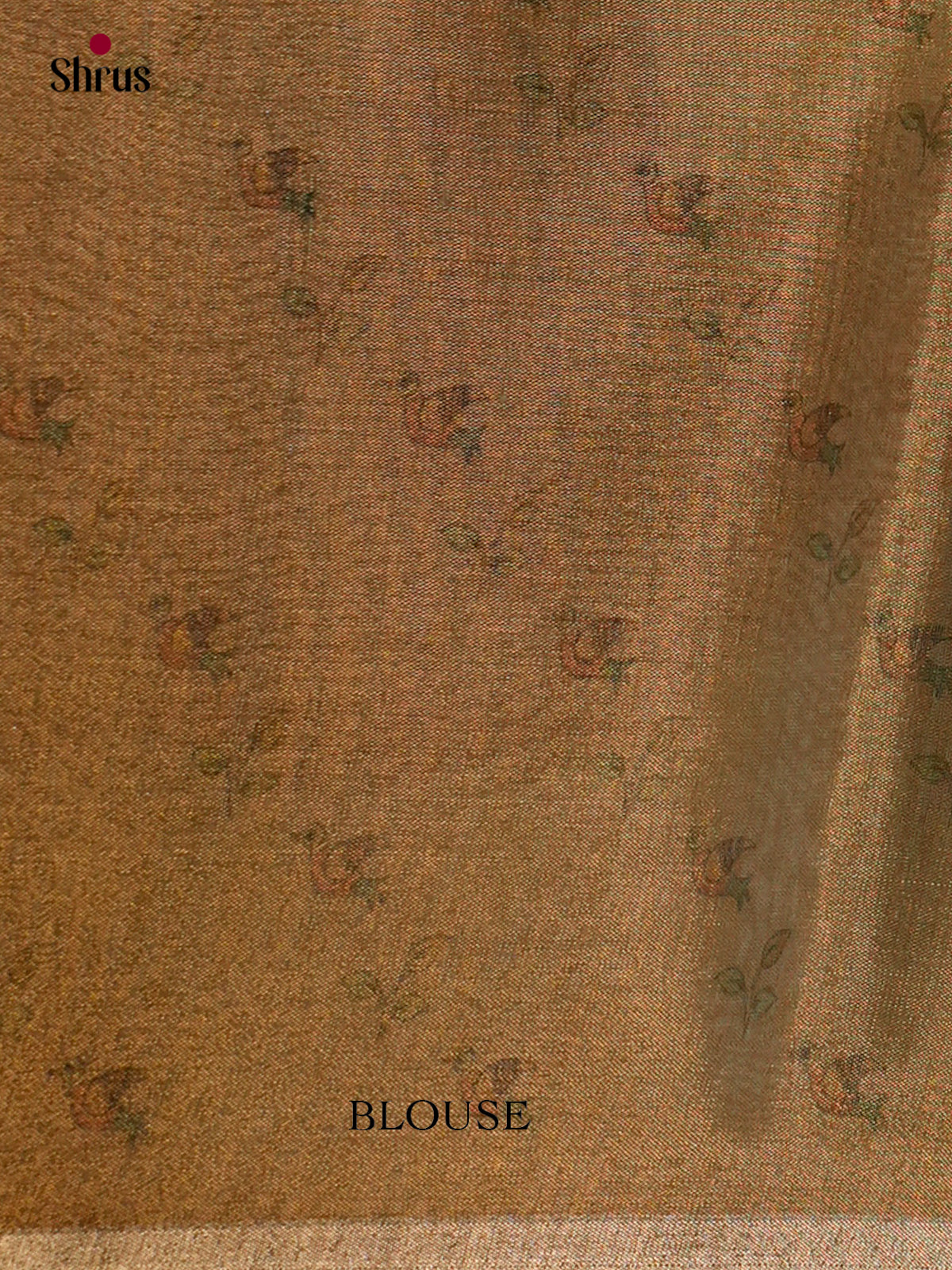 Semi Tissue Saree - ECS02078 - Shop on Shrus.com