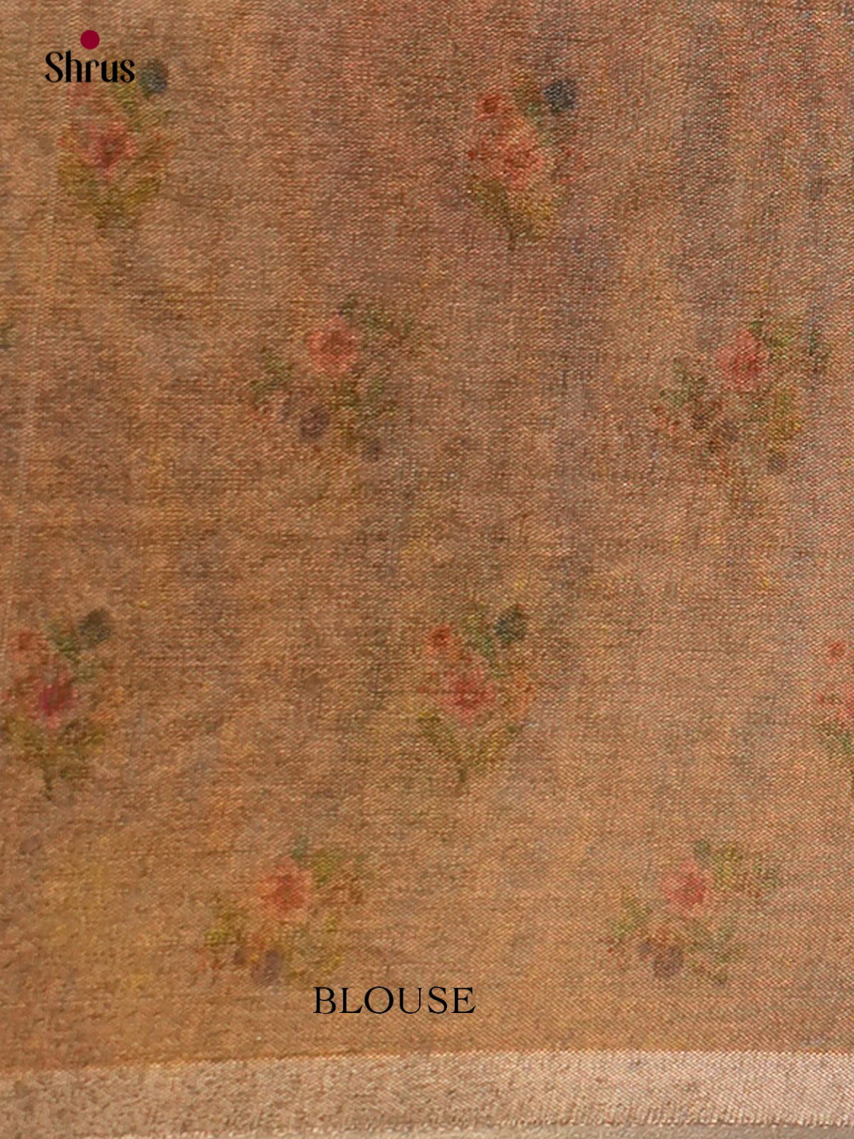 Semi Tissue Saree - ECS02082 - Shop on Shrus.com