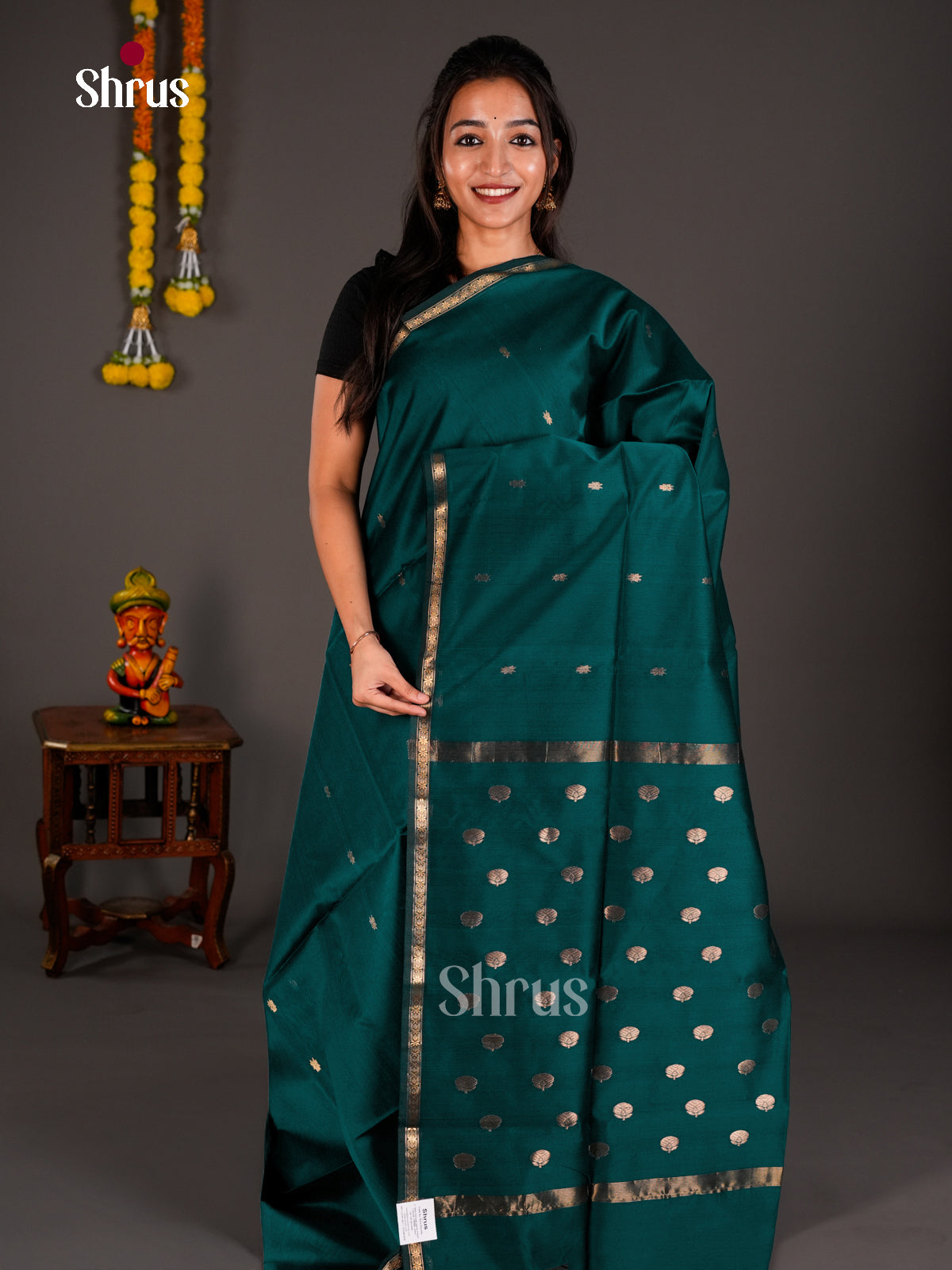 Maheshwari silkcotton Saree - ECS03022 - Shop on Shrus.com