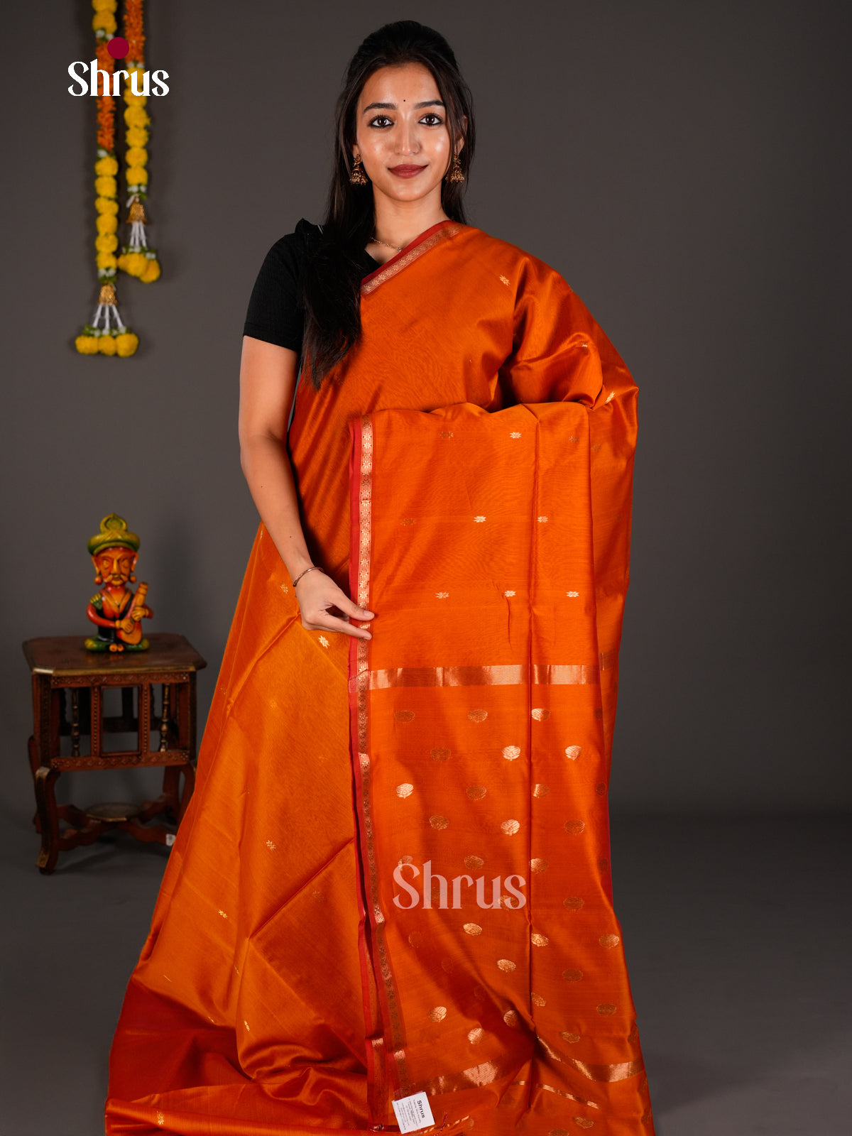 Maheshwari silkcotton Saree - ECS03023 - Shop on Shrus.com