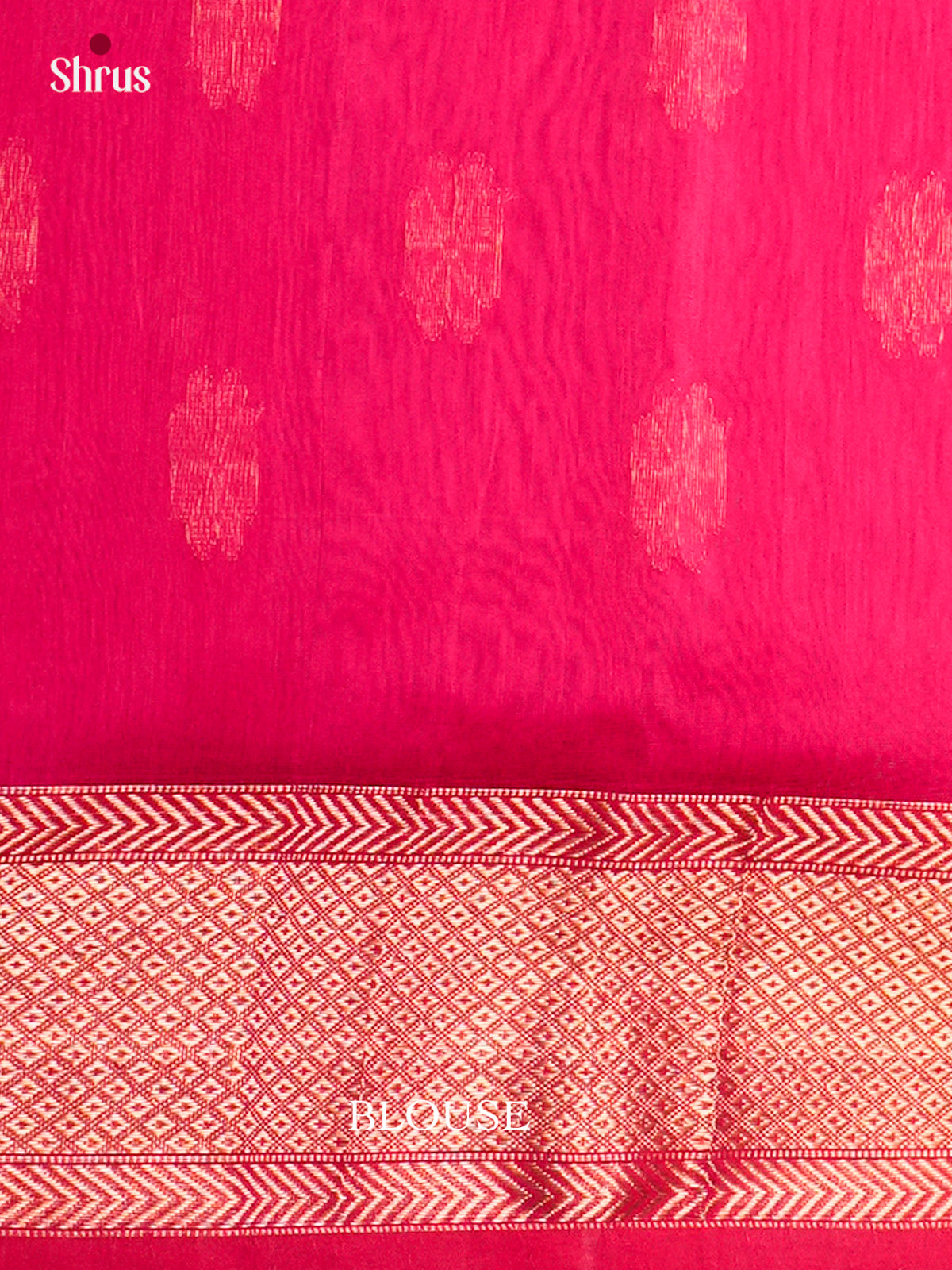 Maheshwari silkcotton Saree - ECS03044 - Shop on Shrus.com