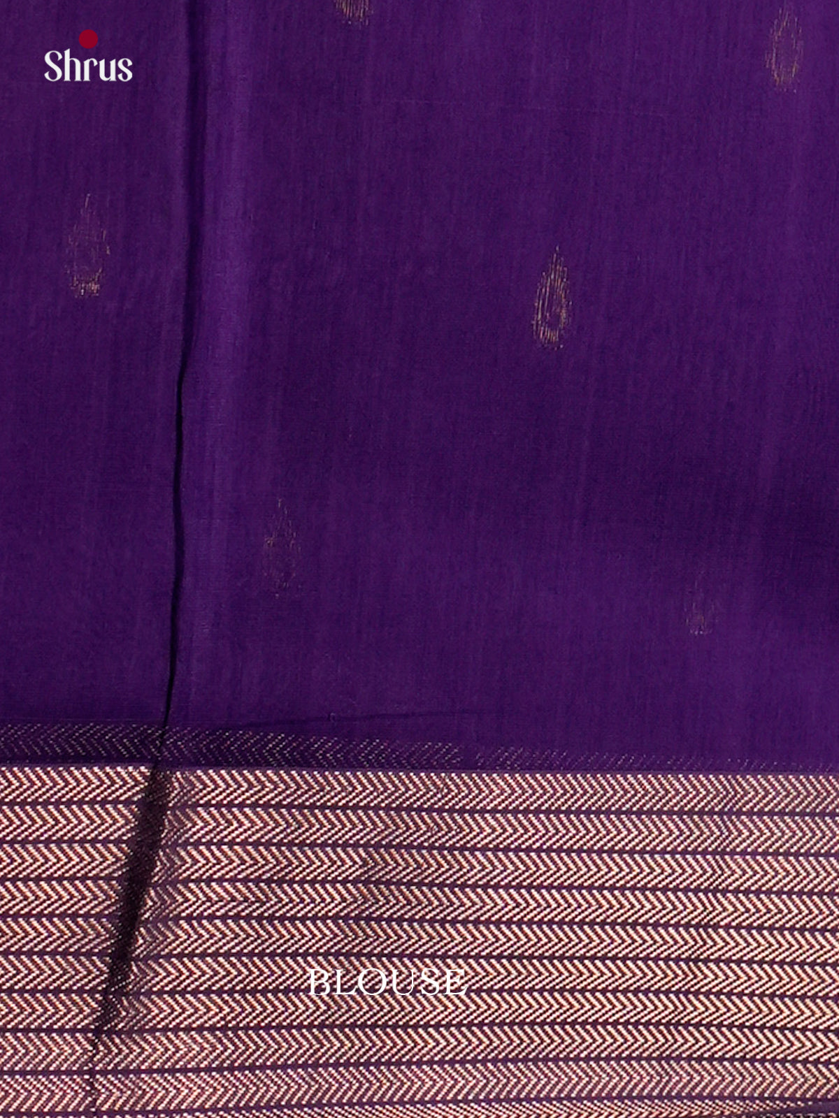 Maheshwari silkcotton Saree - ECS03085 - Shop on Shrus.com