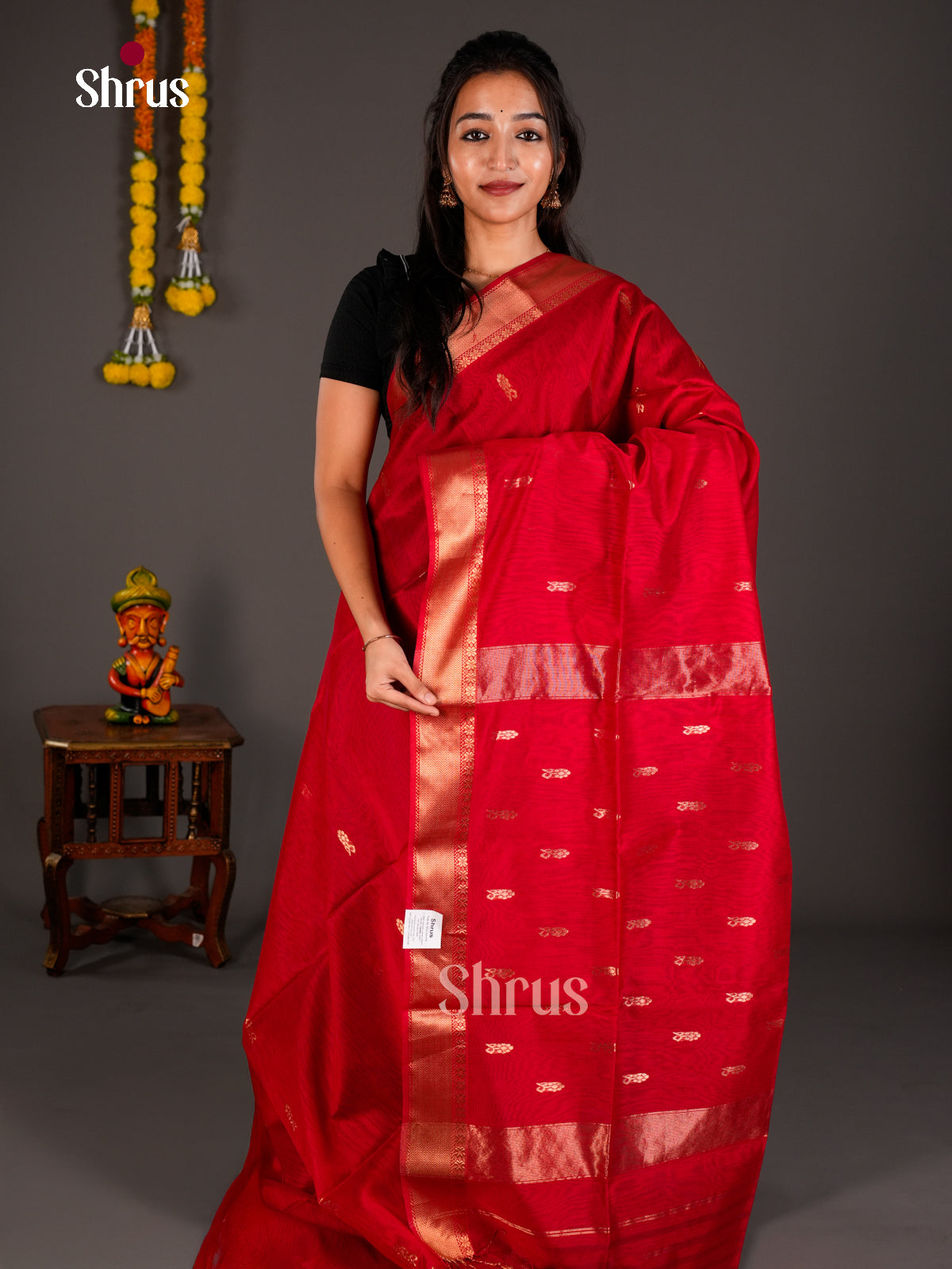 Maheshwari silkcotton Saree - ECS03108 - Shop on Shrus.com