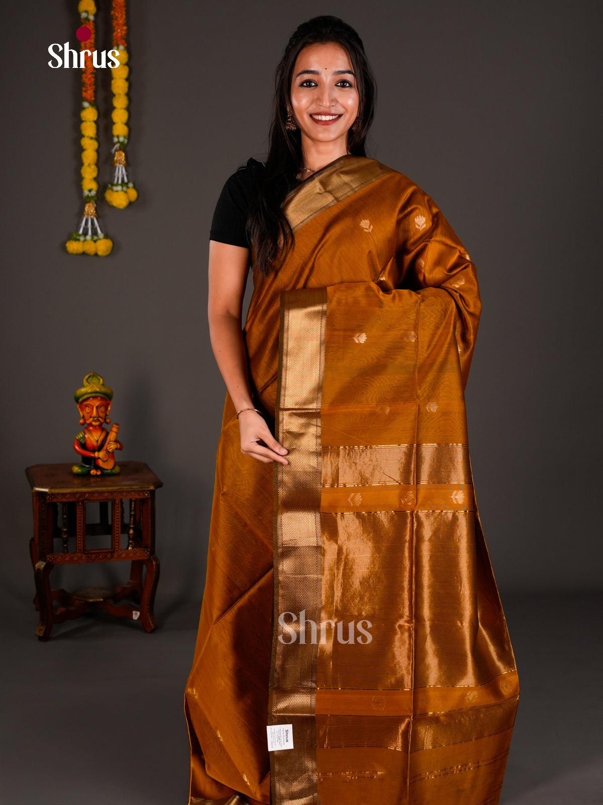 Maheshwari silkcotton Saree - ECS03219 - Shop on Shrus.com