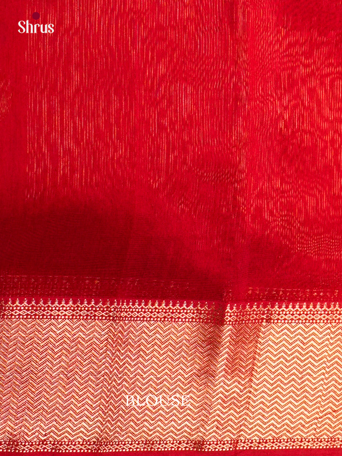 Maheshwari silkcotton Saree - ECS03221 - Shop on Shrus.com