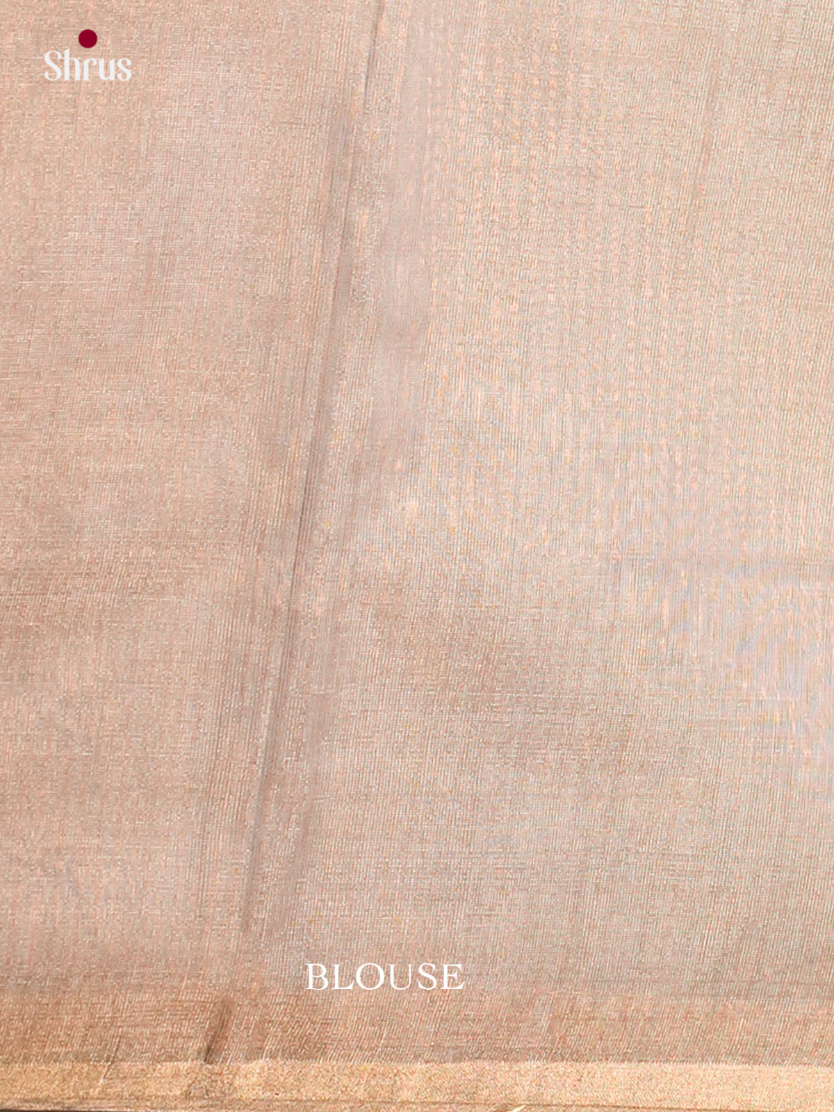 Maheshwari silkcotton Saree - ECS03268 - Shop on Shrus.com