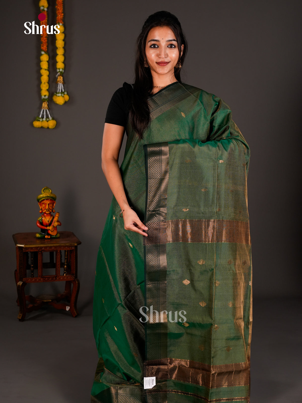 Maheshwari silkcotton Saree - ECS03272 - Shop on Shrus.com