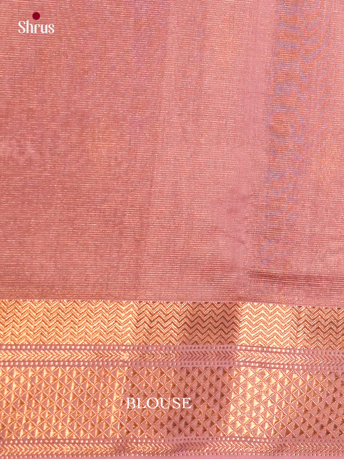 Maheshwari silkcotton Saree - ECS03274 - Shop on Shrus.com