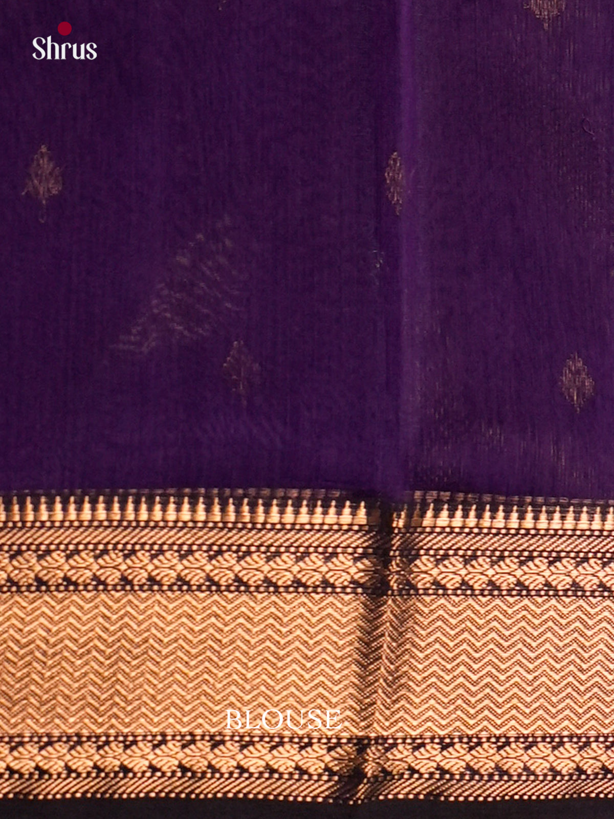 Maheshwari silkcotton Saree - ECS03279 - Shop on Shrus.com