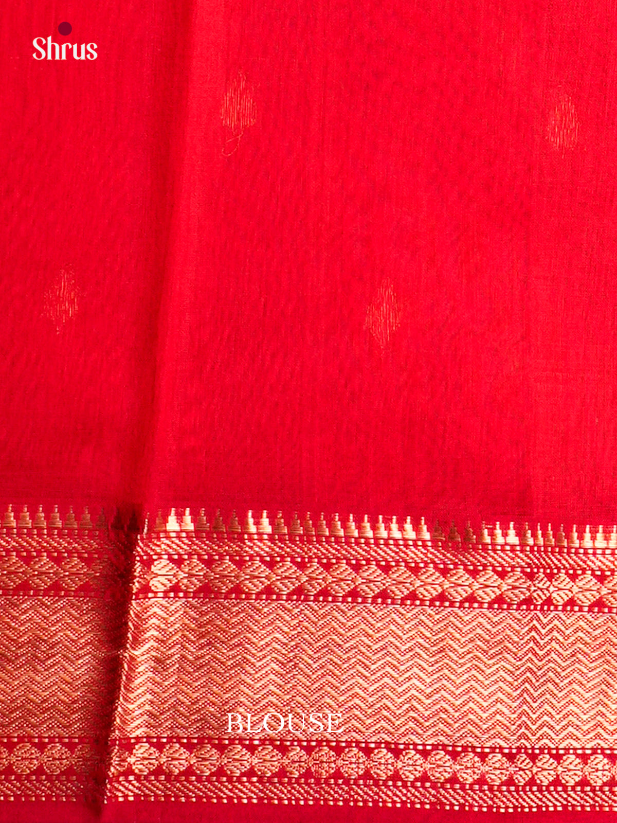 Maheshwari silkcotton Saree - ECS03281 - Shop on Shrus.com