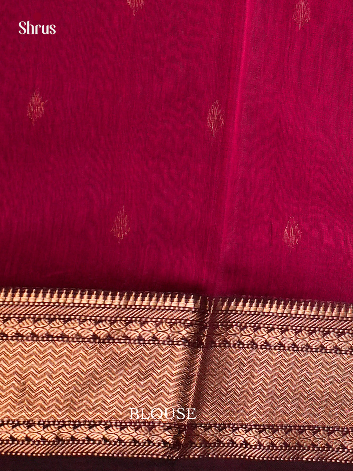 Maheshwari silkcotton Saree - ECS03284 - Shop on Shrus.com