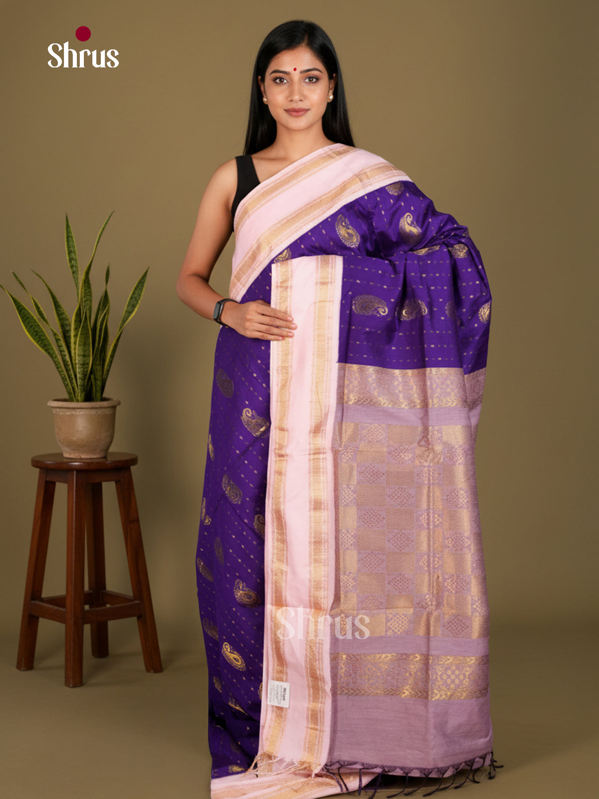 Kalyani Cotton Saree - ECS04049 - Shop on Shrus.com