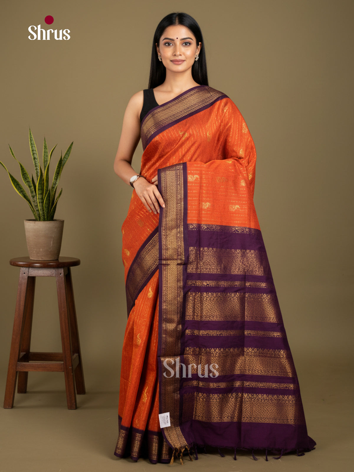 Kalyani Cotton Saree - ECS04064 - Shop on Shrus.com