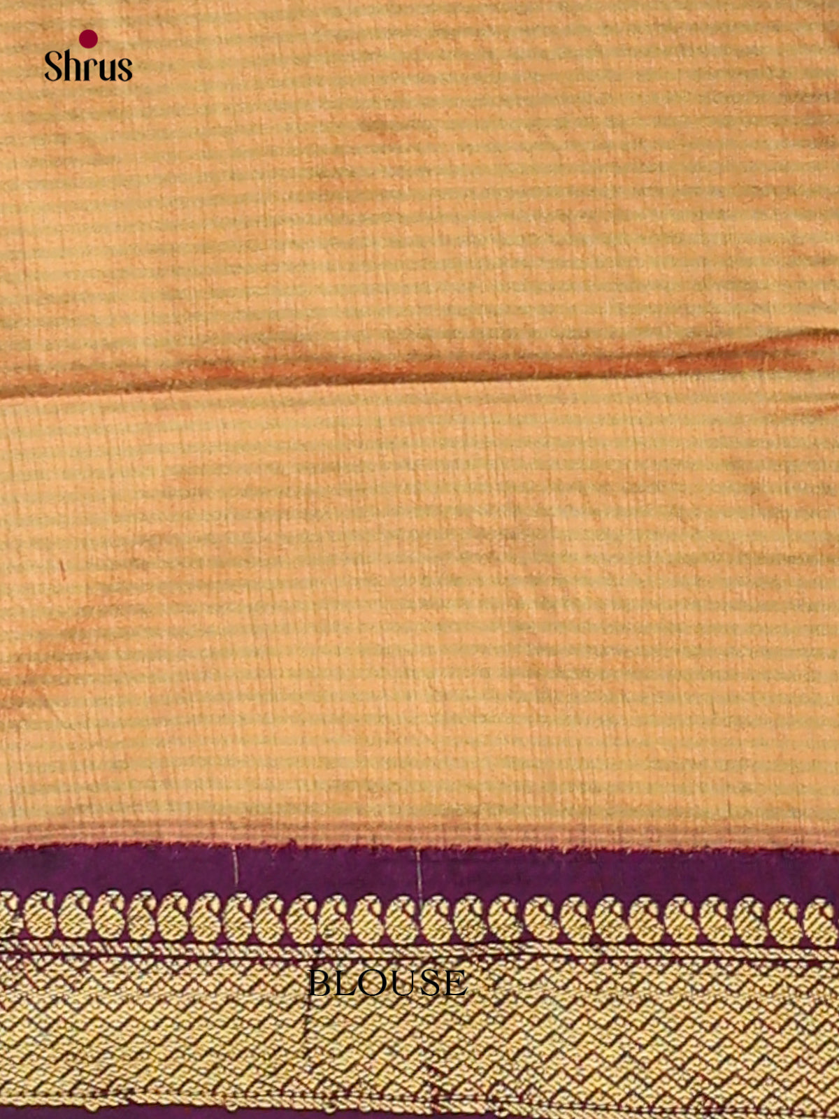 Kalyani Cotton Saree - ECS04137