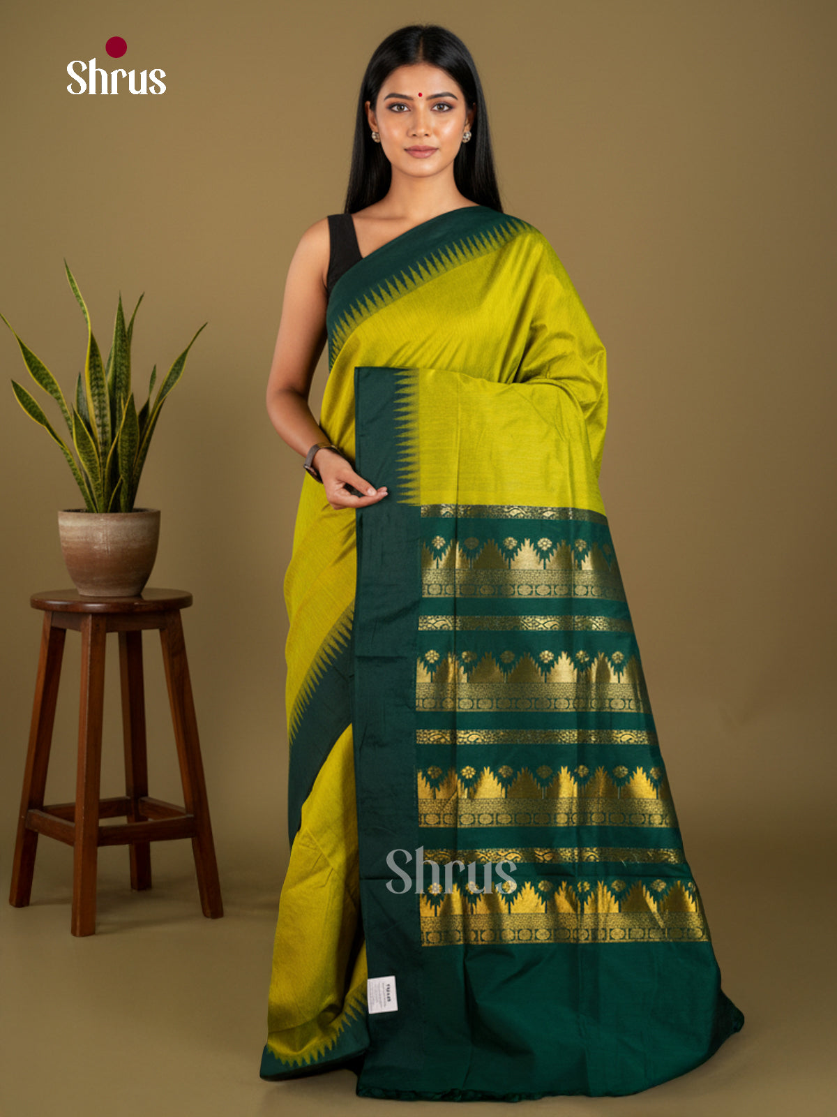 Kalyani Cotton Saree - ECS04146 - Shop on Shrus.com