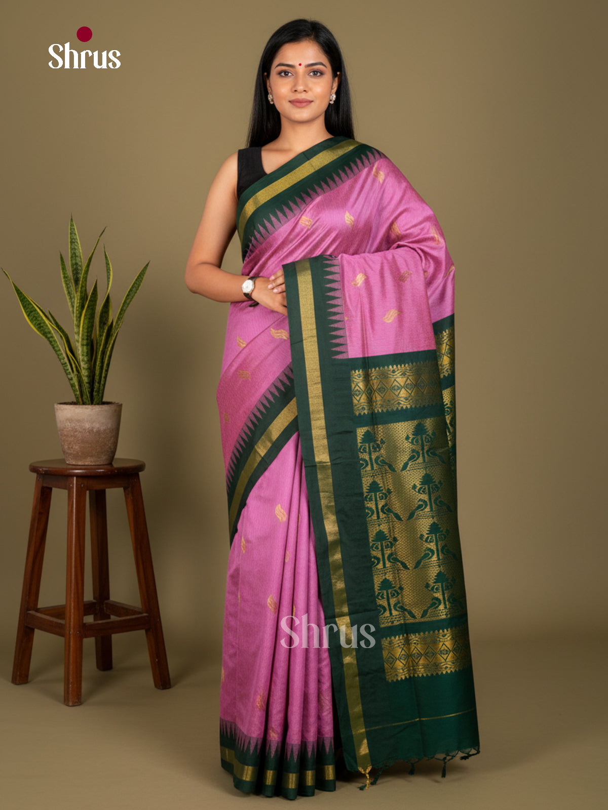 Kalyani Cotton Saree - ECS04217 - Shop on Shrus.com