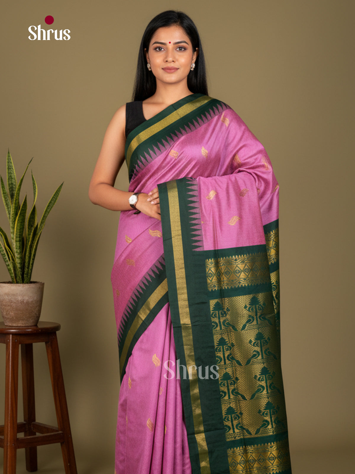 Kalyani Cotton Saree - ECS04217 - Shop on Shrus.com