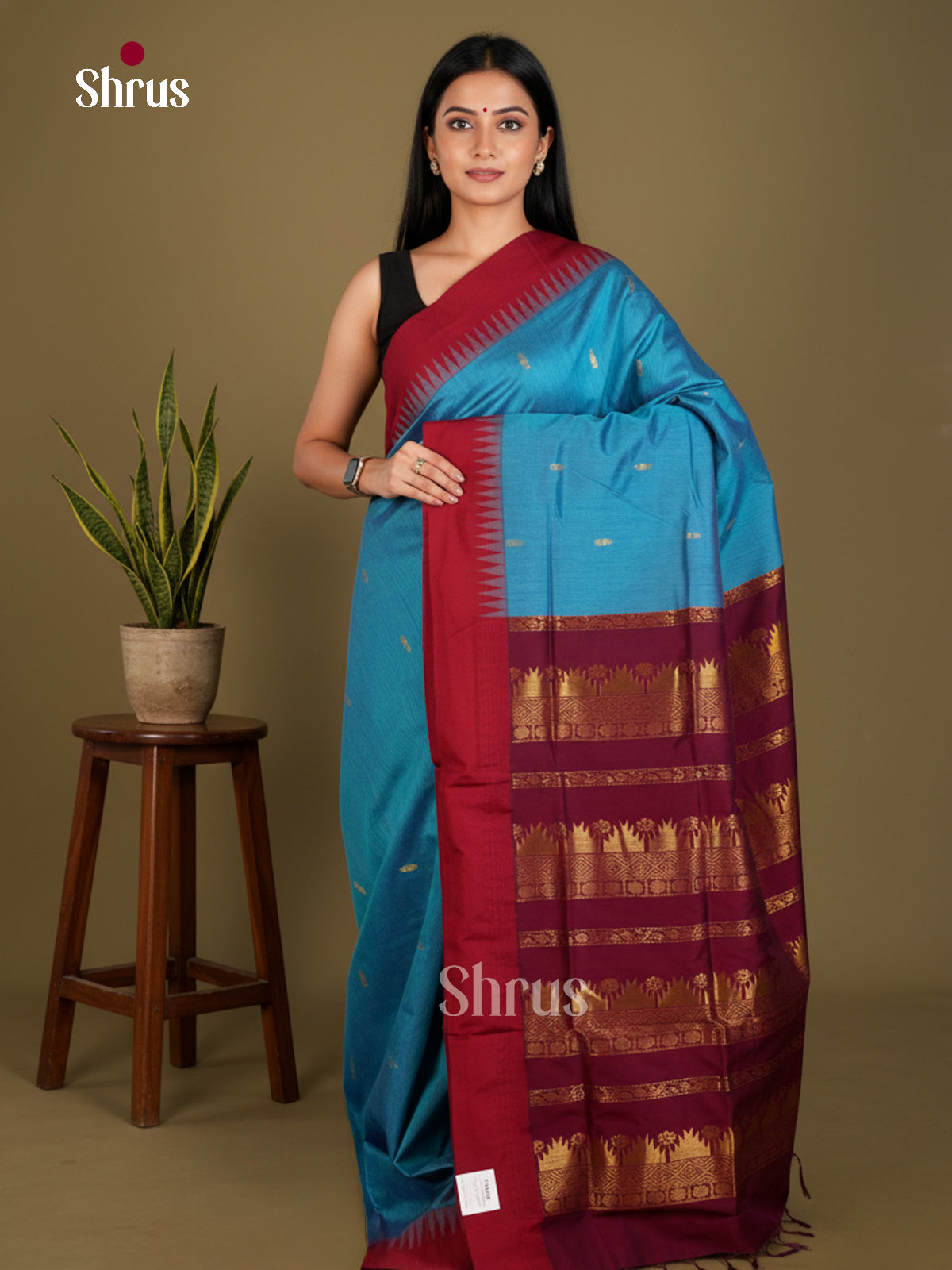 Kalyani Cotton Saree - ECS04236 - Shop on Shrus.com