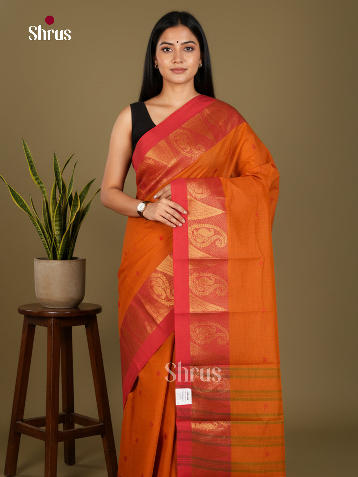 Chettinad Cotton-Without Blouse Saree - ECS04327 - Shop on Shrus.com
