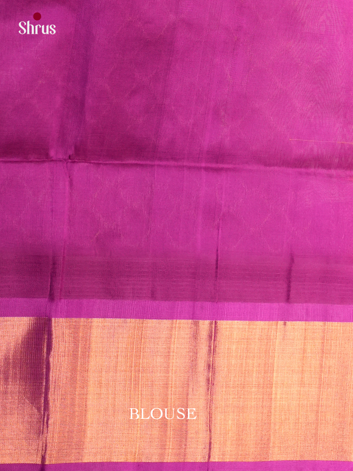 Silk Cotton Saree - ECS05004 - Shop on Shrus.com