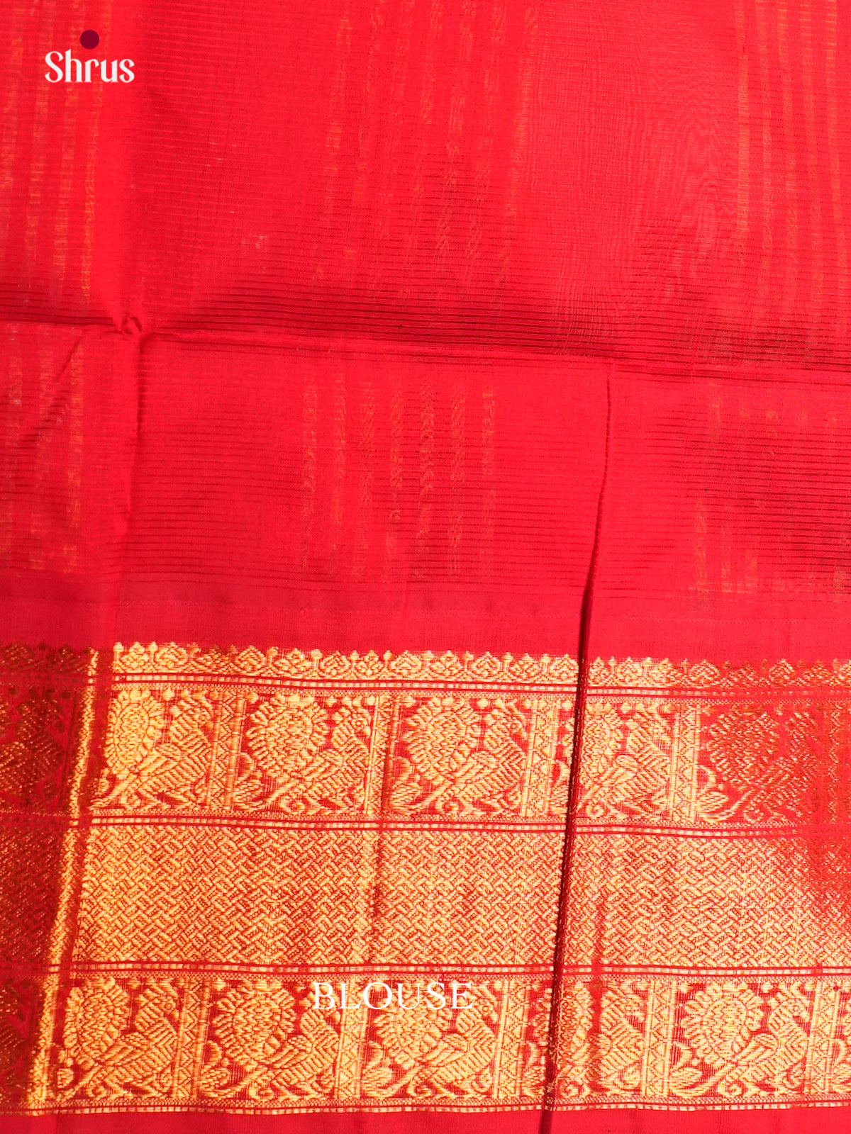 Silk Cotton Saree - ECS05024 - Shop on Shrus.com