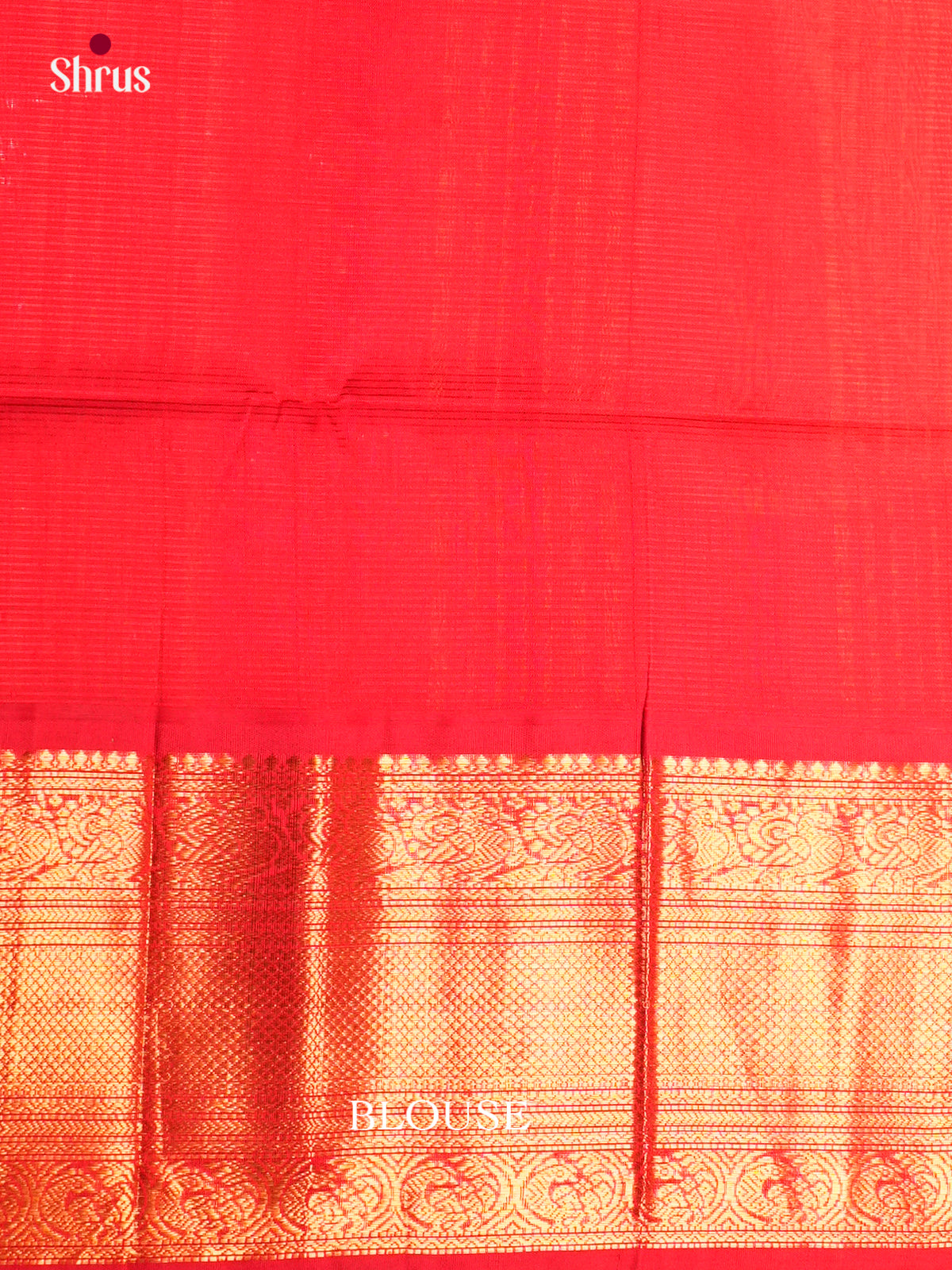 Korvai-Big border Saree - ECS05026 - Shop on Shrus.com