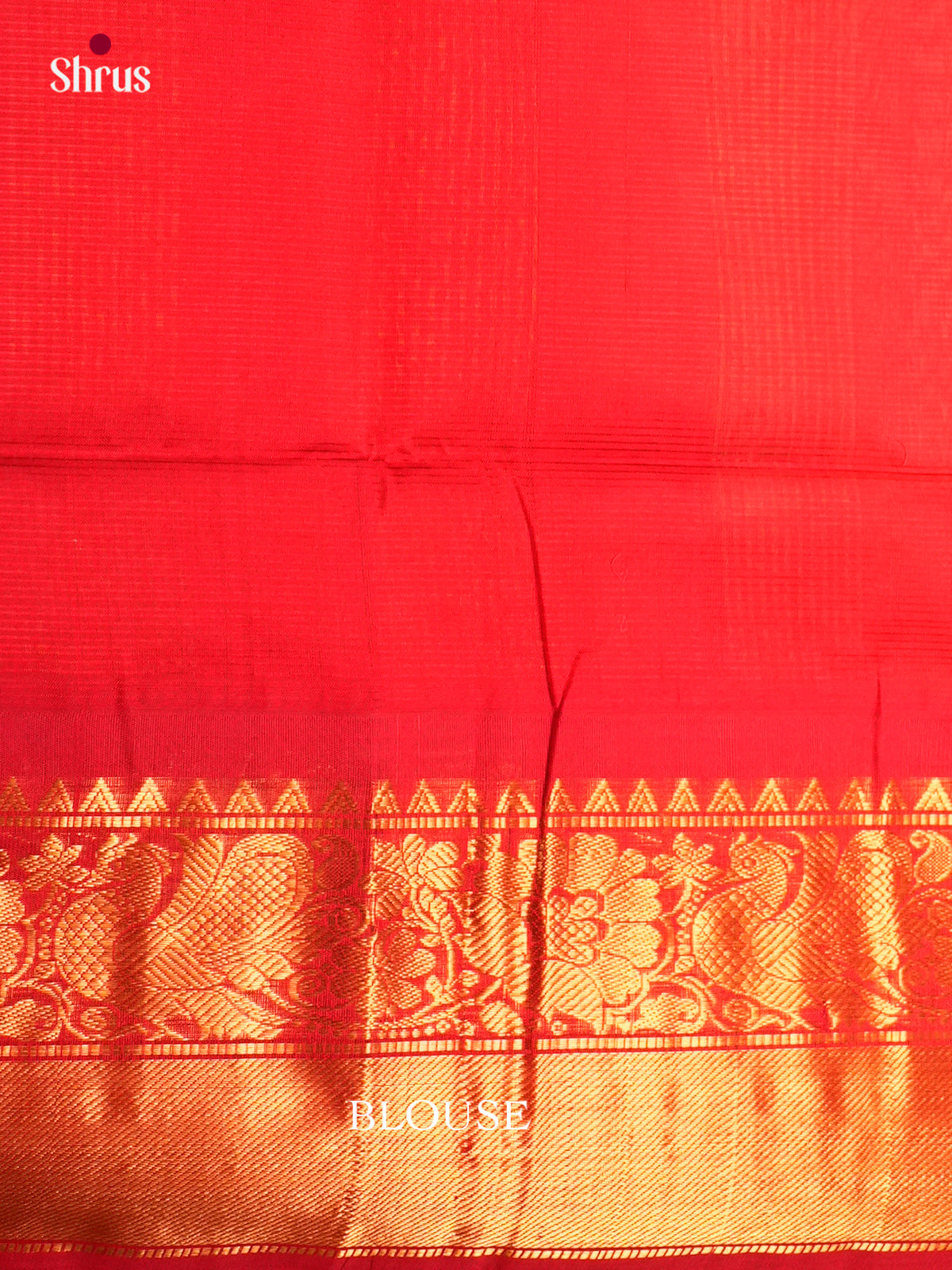 Korvai-Big border Saree - ECS05030 - Shop on Shrus.com