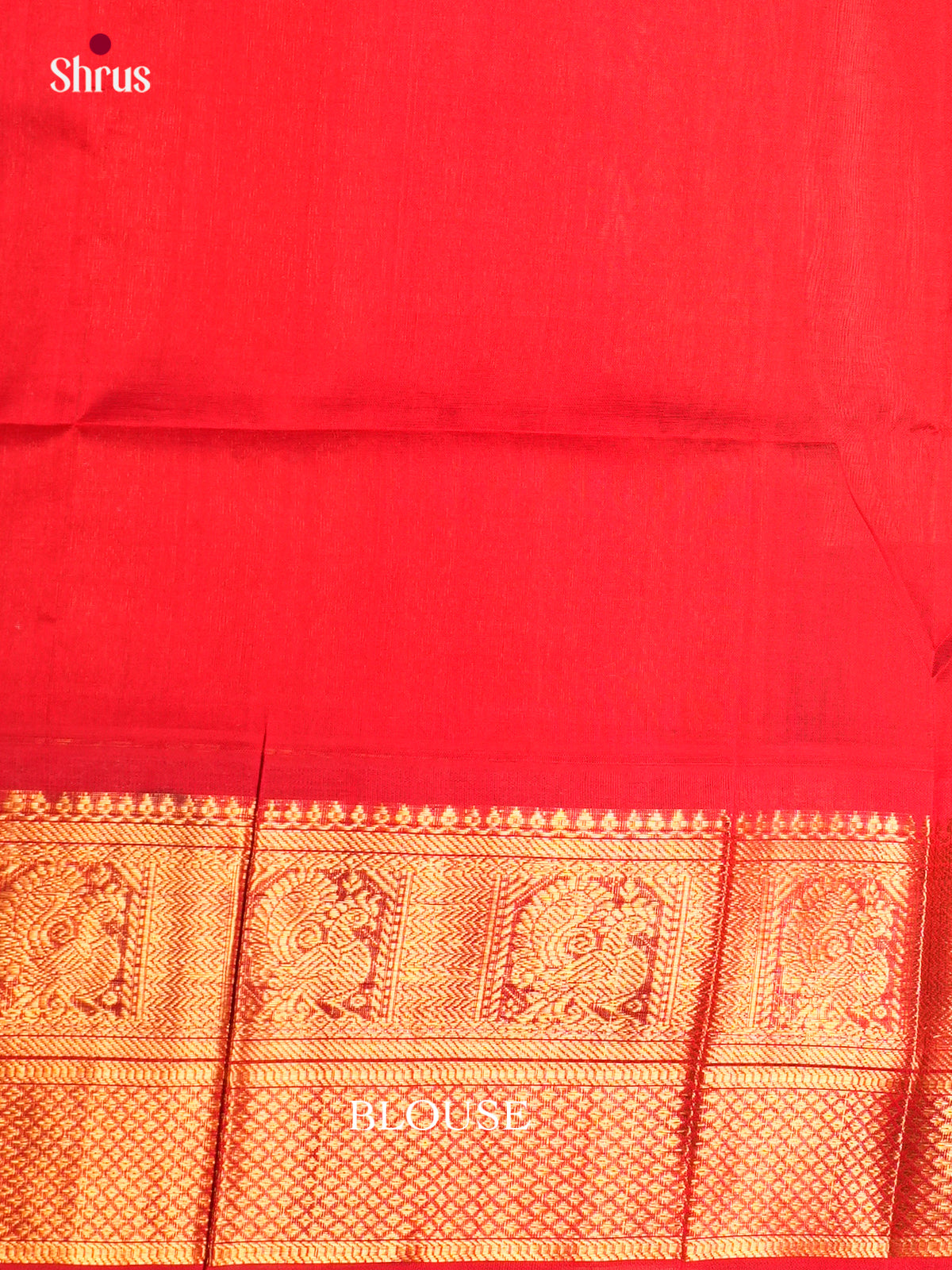 Korvai-Big border Saree - ECS05054 - Shop on Shrus.com