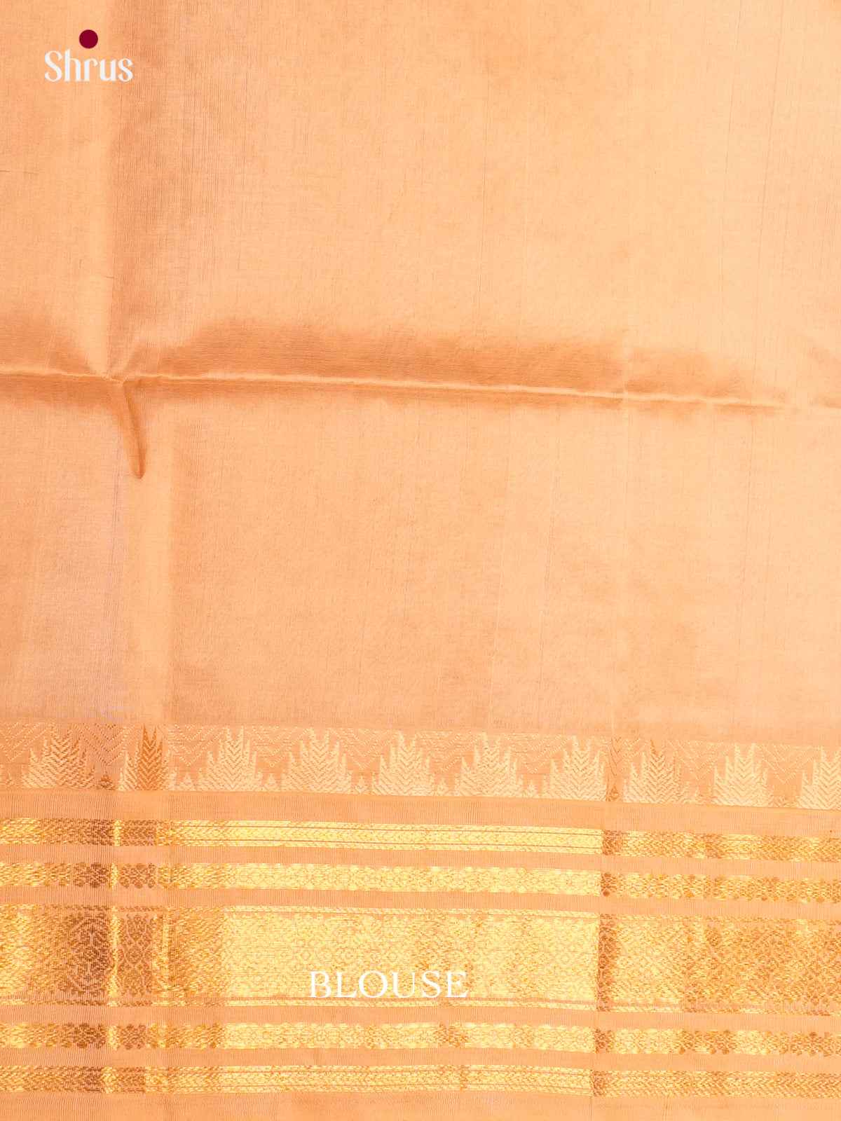 Silk Cotton Saree - ECS05061 - Shop on Shrus.com