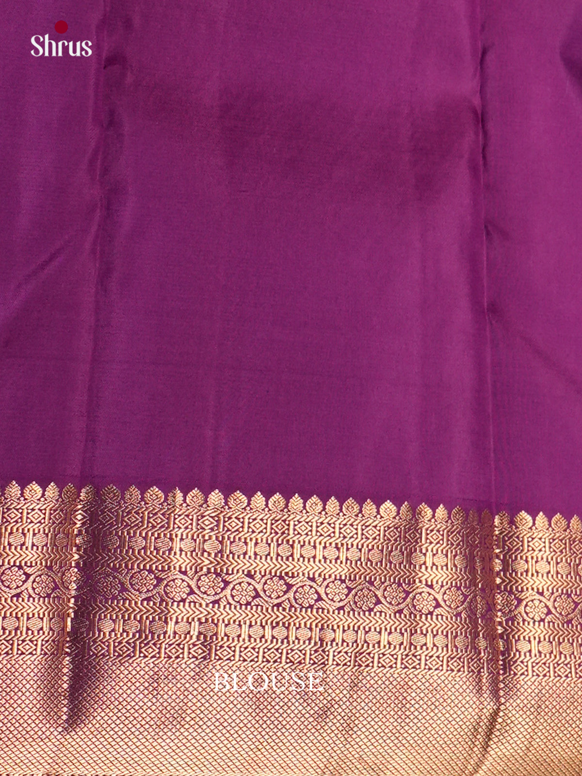 Kanchipuram silk Saree - ECS06113 - Shop on Shrus.com