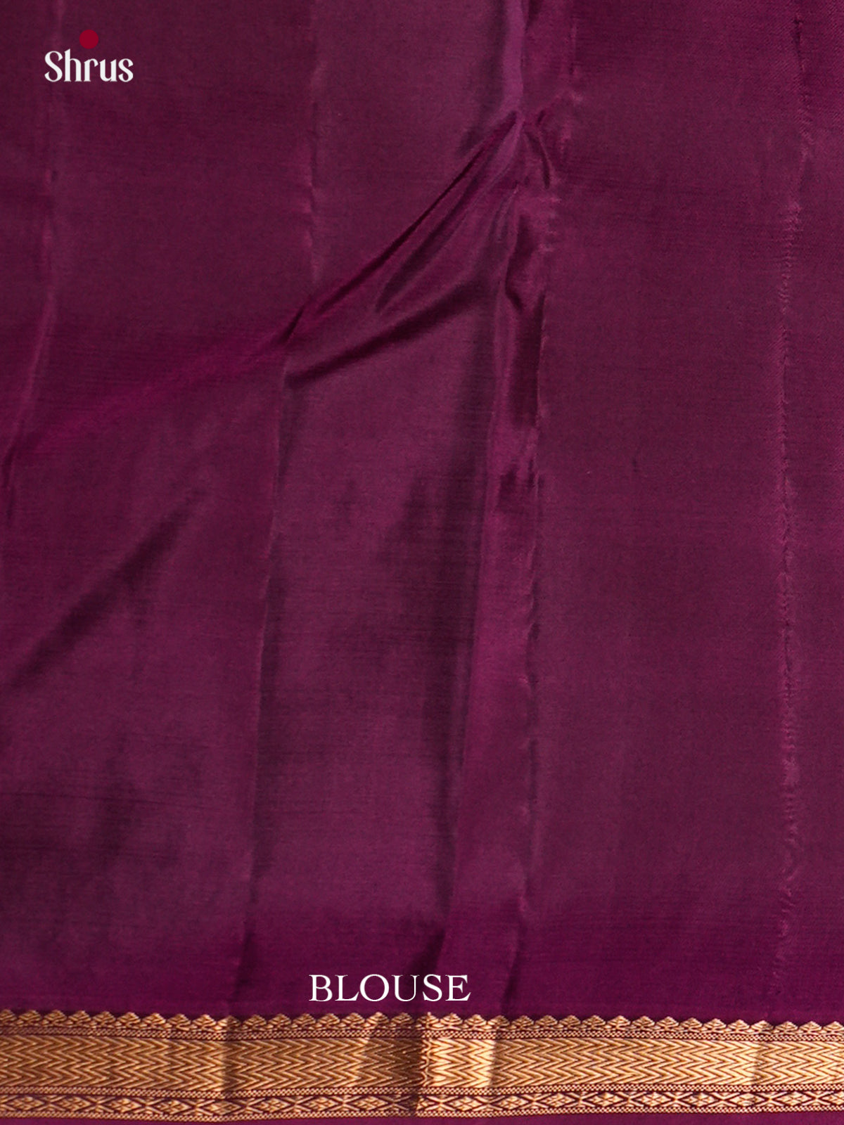 Kanchipuram silk Saree - ECS06118 - Shop on Shrus.com