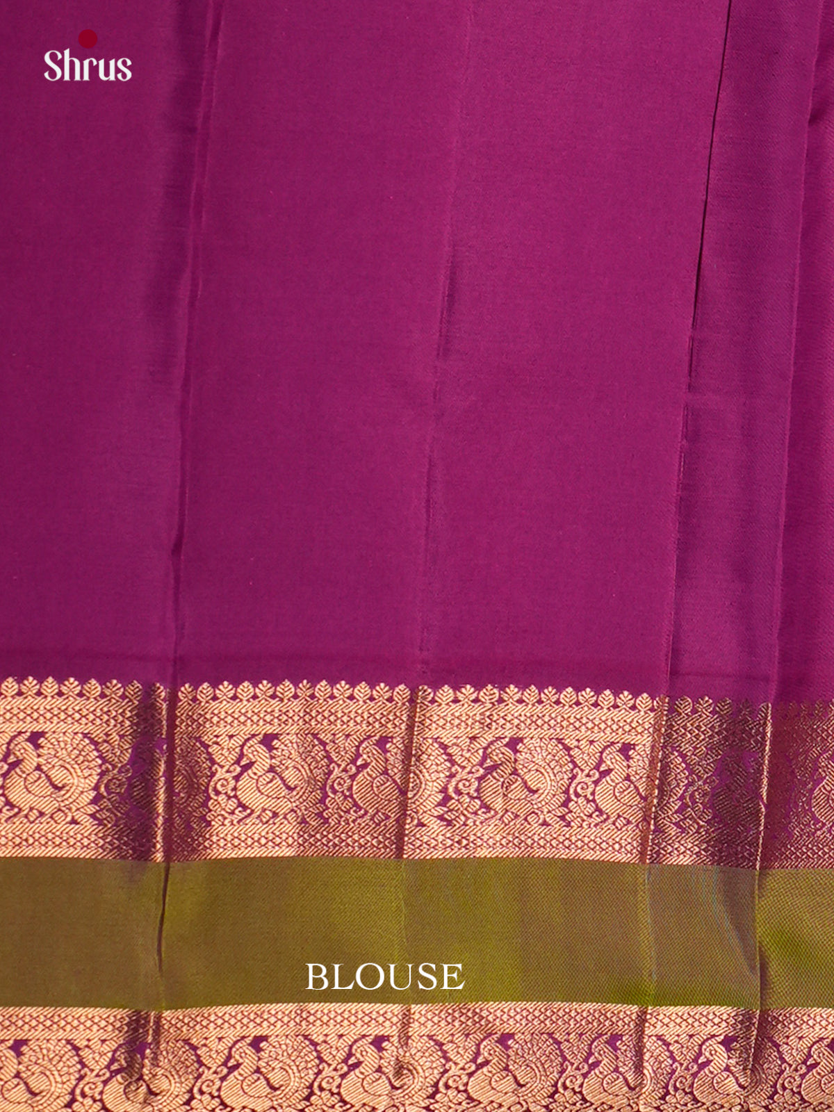 Kanchipuram silk Saree - ECS06119 - Shop on Shrus.com