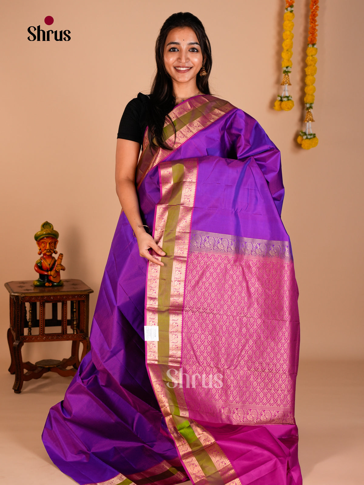 Kanchipuram silk Saree - ECS06120 - Shop on Shrus.com