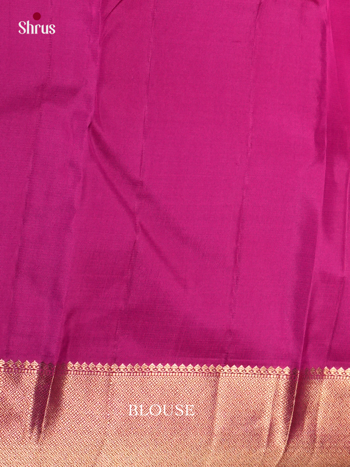 Kanchipuram silk Saree - ECS06128 - Shop on Shrus.com