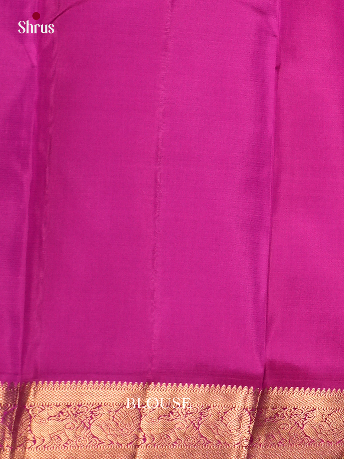 Kanchipuram silk Saree - ECS06129 - Shop on Shrus.com