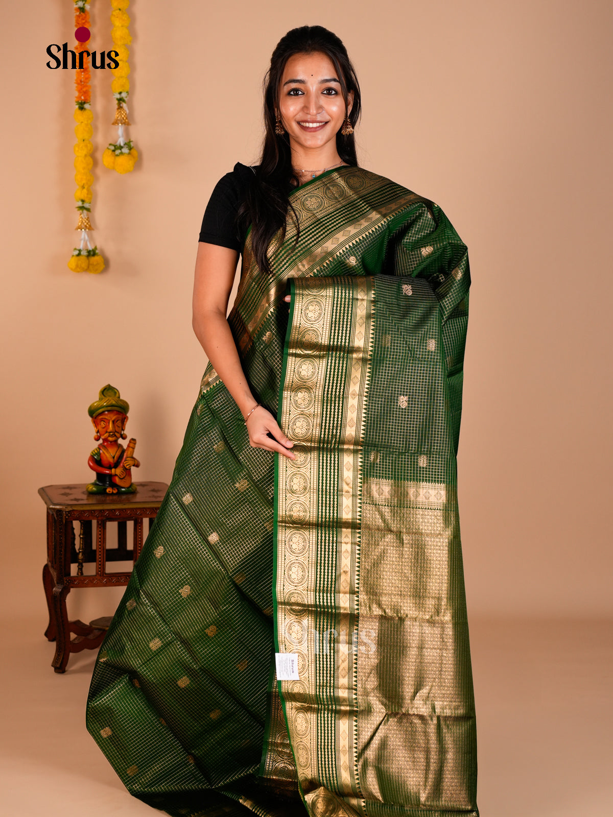 Kanchipuram silk Saree - ECS06203 - Shop on Shrus.com