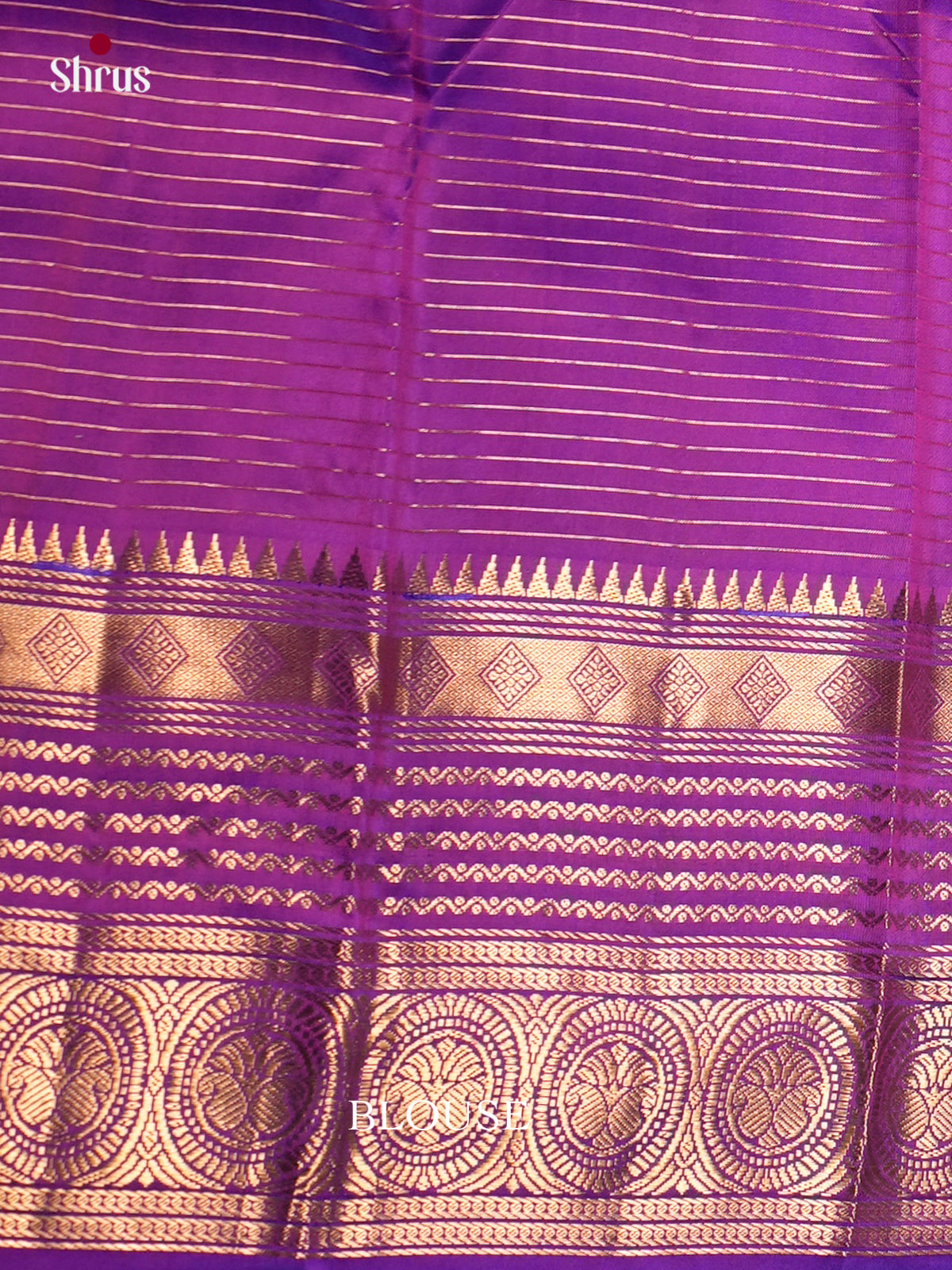 Kanchipuram silk Saree - ECS06205 - Shop on Shrus.com