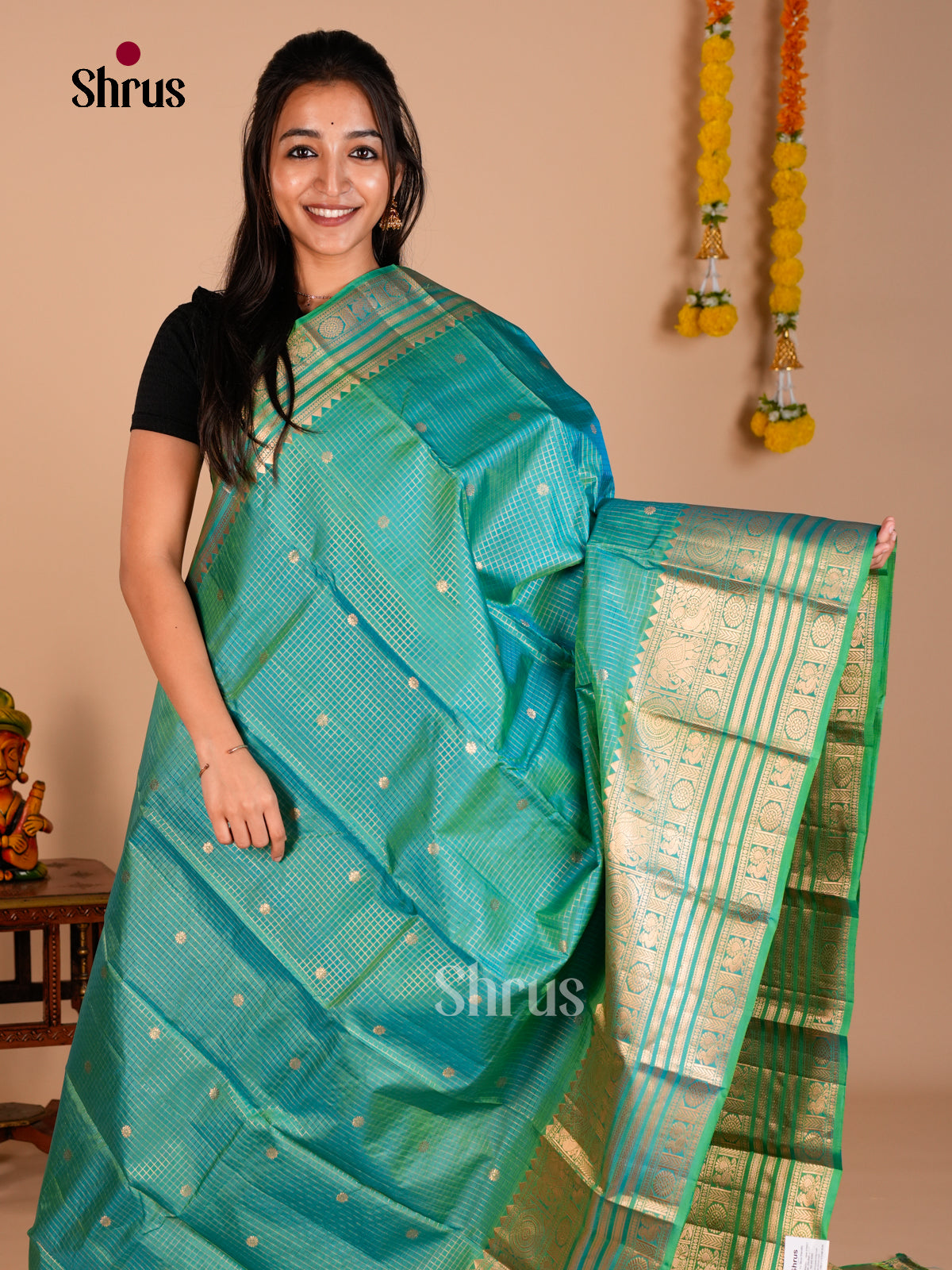 Kanchipuram silk Saree - ECS06207 - Shop on Shrus.com