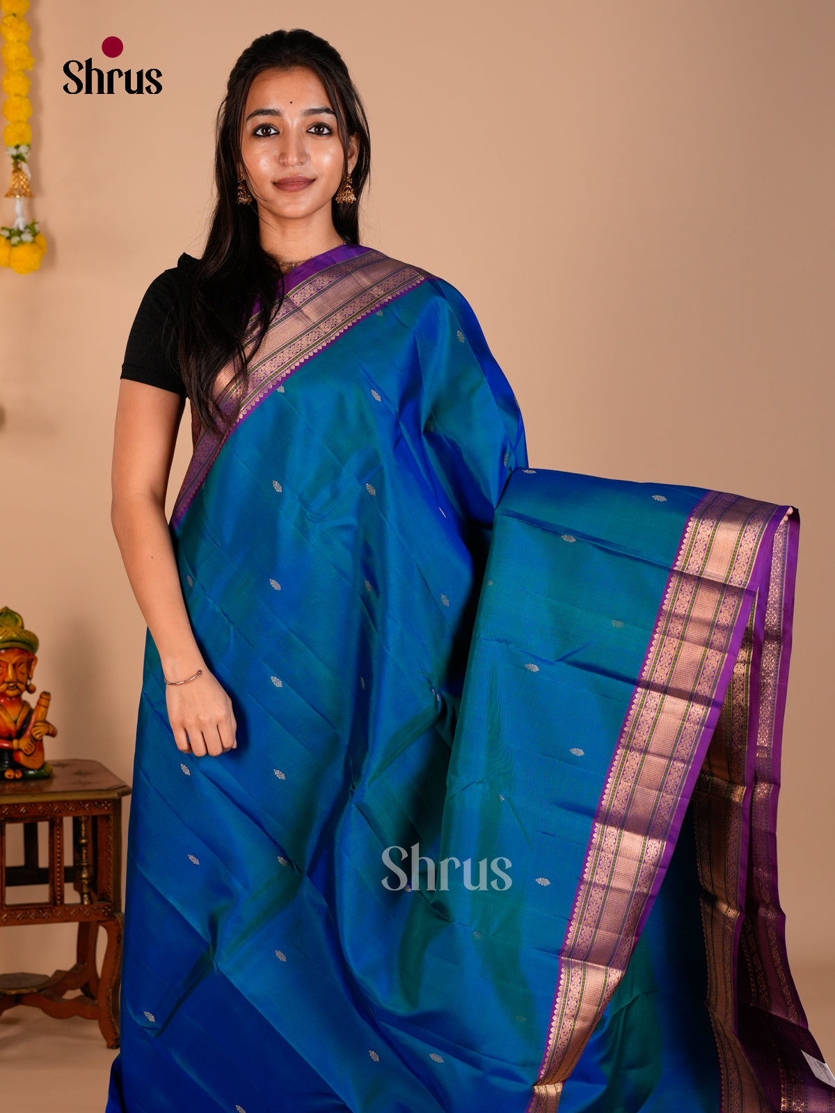 Kanchipuram silk Saree - ECS06219 - Shop on Shrus.com