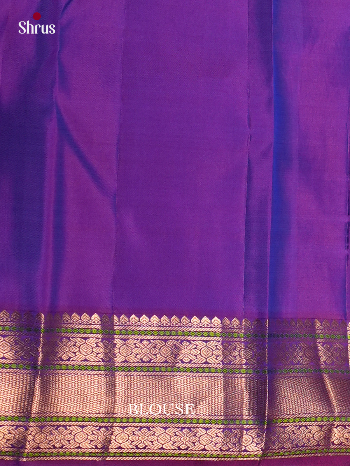 Kanchipuram silk Saree - ECS06219 - Shop on Shrus.com