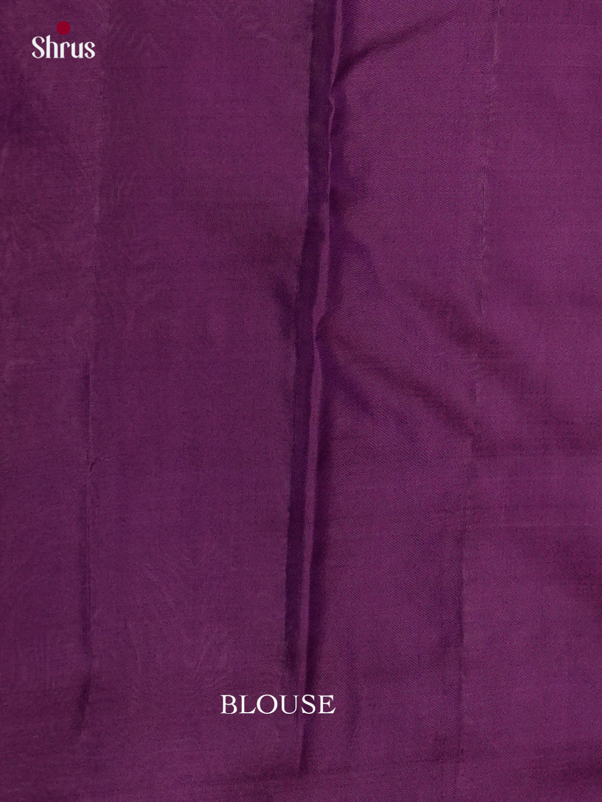 Kanchipuram silk Saree - ECS06239 - Shop on Shrus.com