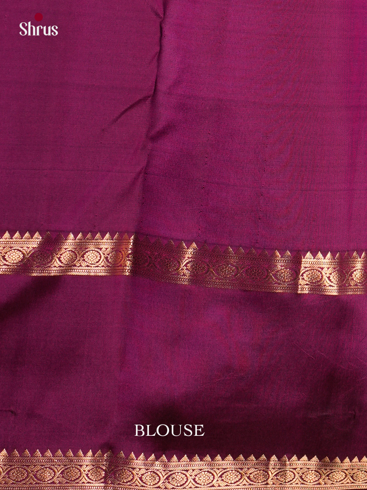Kanchipuram silk Saree - ECS06248 - Shop on Shrus.com