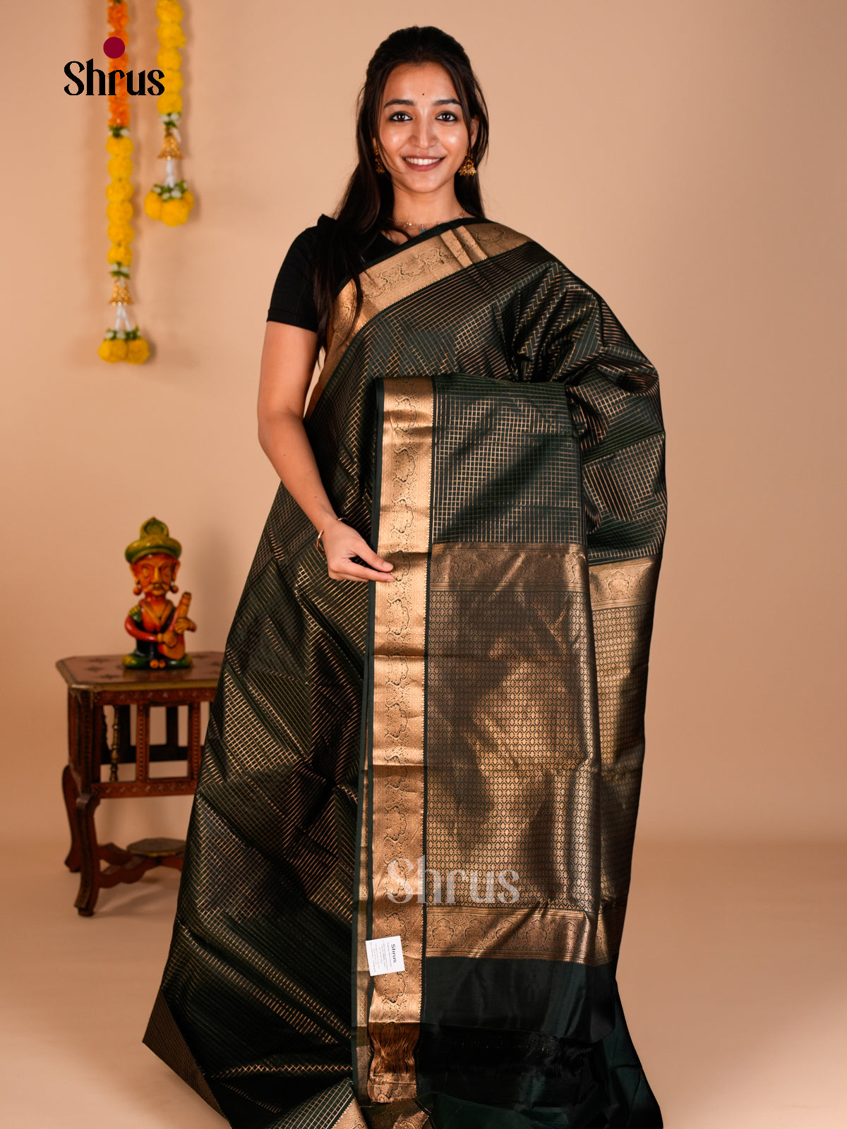 Kanchipuram silk Saree - ECS06254 - Shop on Shrus.com