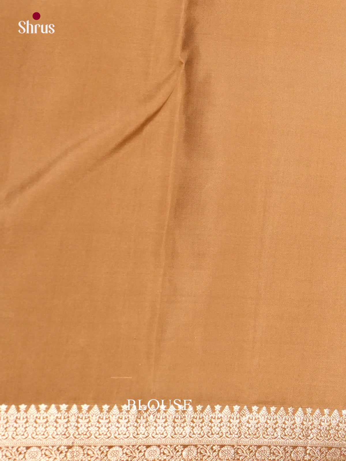 Kanchipuram silk Saree - ECS06295 - Shop on Shrus.com