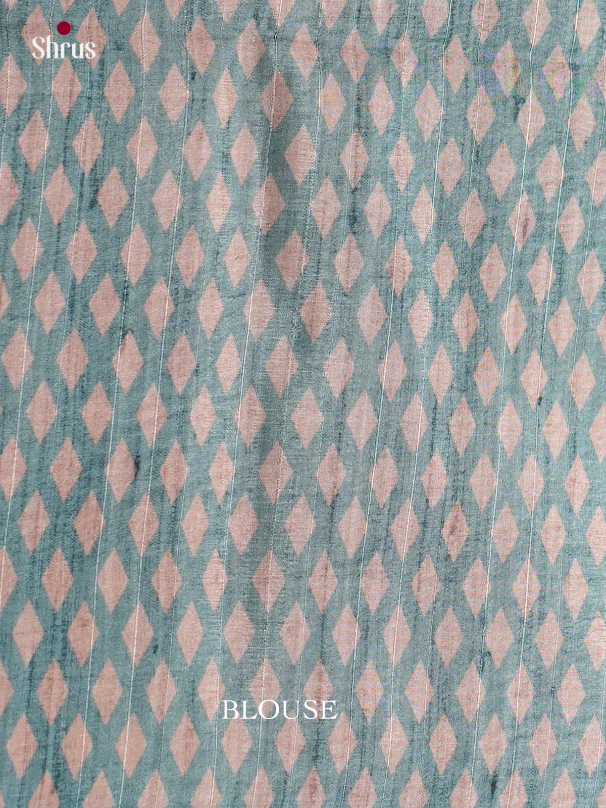 Printed Semi Tussar Saree - ECS12042 - Shop on Shrus.com