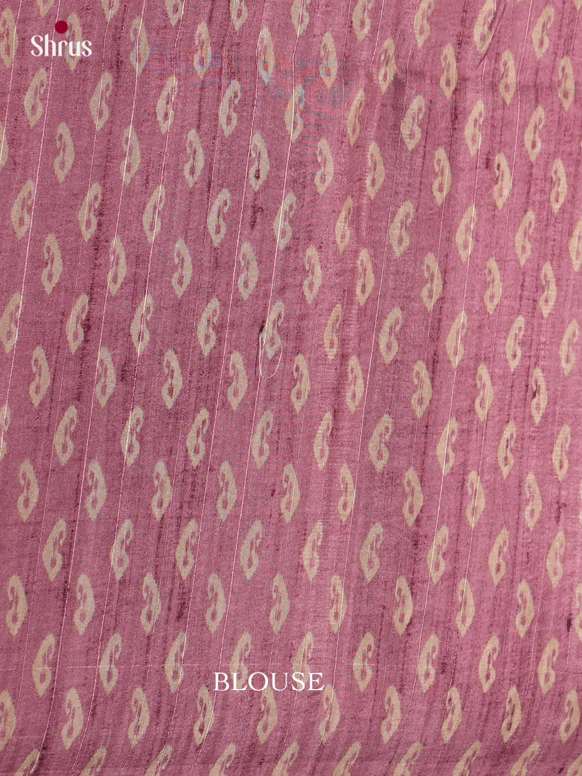 Printed Semi Tussar Saree - ECS12043 - Shop on Shrus.com
