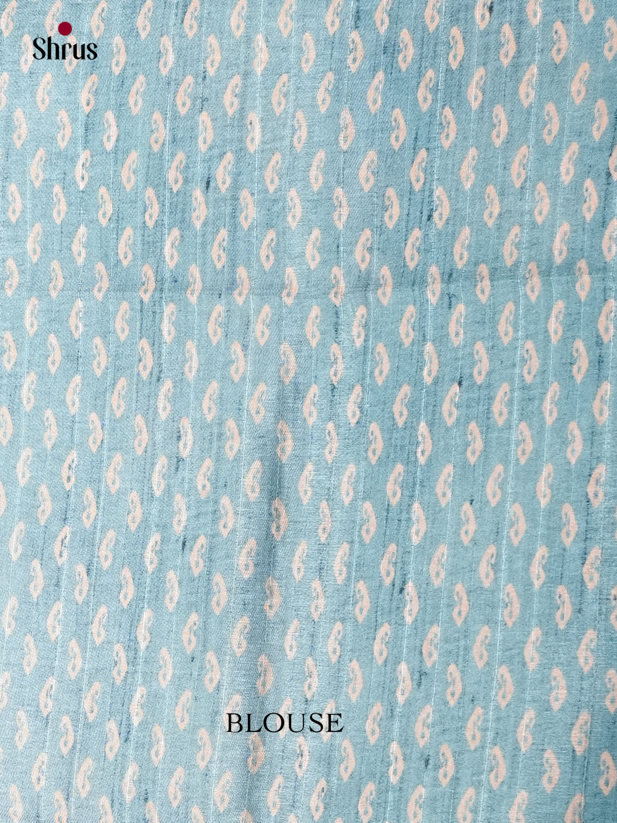 Printed Semi Tussar Saree - ECS12044 - Shop on Shrus.com