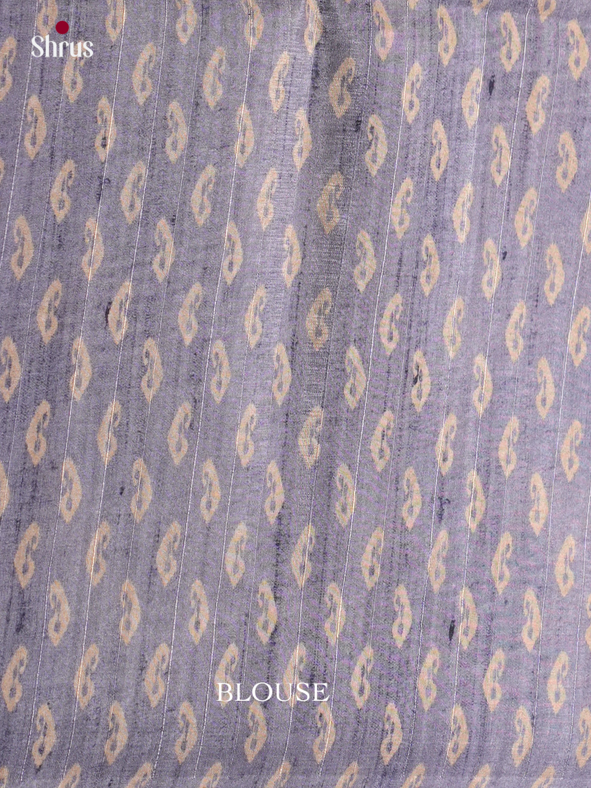 Printed Semi Tussar Saree - ECS12047 - Shop on Shrus.com