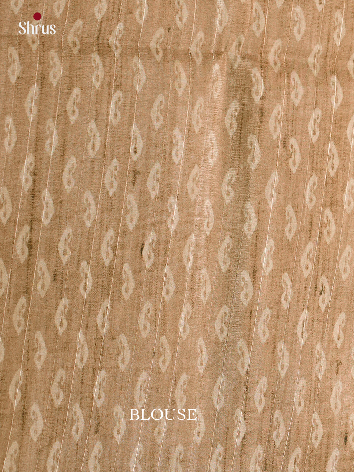 Printed Semi Tussar Saree - ECS12048 - Shop on Shrus.com